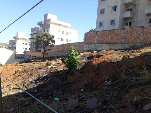 Cabral 6 Lotes De 200m² Cada Totalizando 1200m² - 3787