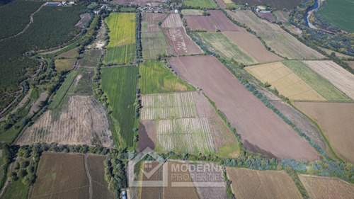 Predio De 87.8 Ha Con Derecho De Agua Y Acceso Asfaltado