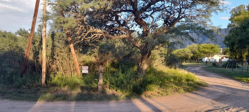 Imagen 11 de 11 de Terreno - Las Calles