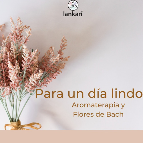 Alegría, Sábanas/almoh., Dulces Sueños, Aromaterapia-f. Bach