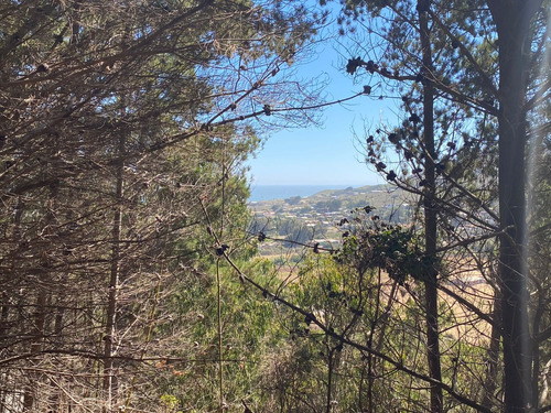 Terreno En Venta En La Vega De Pupuya Con Vista Al Mar