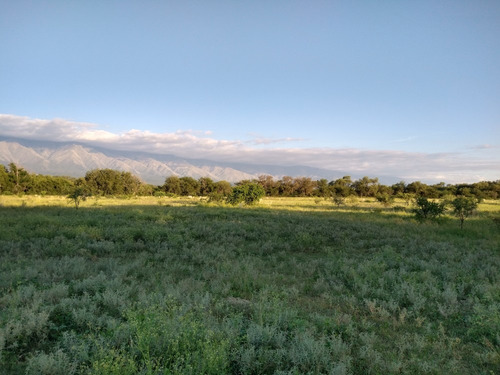 Imagen 4 de 19 de Excelente Campo En Chuchiras, San Javier