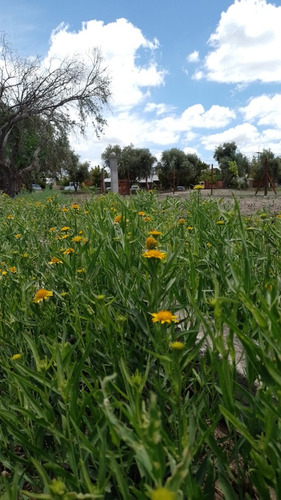 Lotes San Rafael- Paseo Salas Barrio Abierto