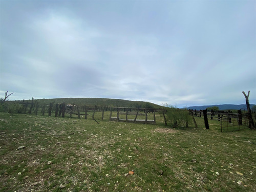 Rancho En Venta En Villa Hidalgo Durango