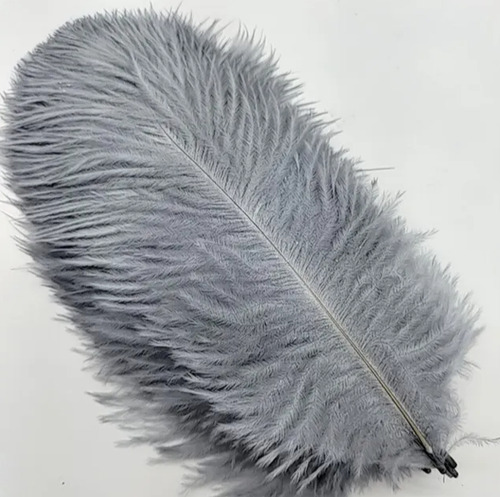 10 Plumas Avestruz Calidad 15-18cm Decoración Eventos Gris