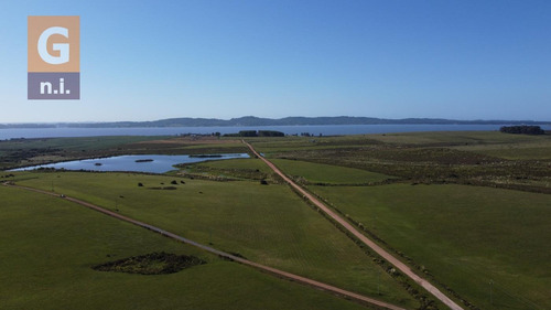 Campos Y Fracciones En Maldonado (laguna Del Sauce) - Ref. 4616