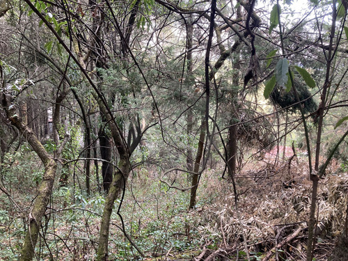 Hacienda San Martin (ex-hacienda Jajalpa).- A Tan Sólo Unos Minutos De La Cdmx