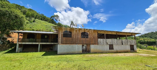 Imagem 3 de 19 de Sítio A Venda Em Brusque/sc - 1754c