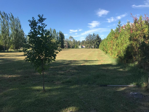 Imagen 13 de 13 de Terreno - Coronel Brandsen