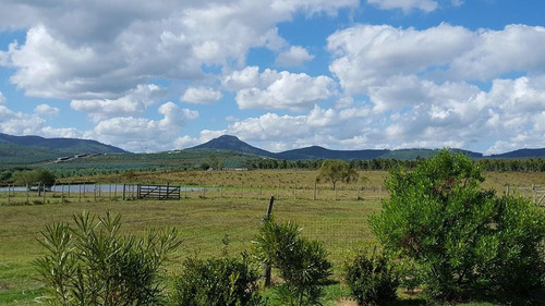 Sierra De Las Animas 401ha Forestadas Con Muy Buen Casco A Minutos Del Mar