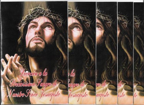 Libro Devoción A La Preciosa Sangre De Jesucristo/paq 5 Pzas