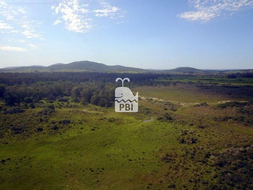 Imagen 2 de 9 de Chacra En Venta Punta Negra - Ref : Pbi589