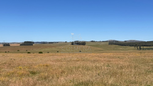Campo De 54 Has Con 2059 M2 Con Suelo Agricola-ganadero.