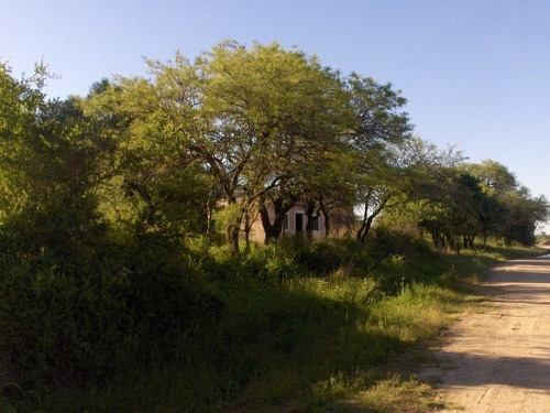 Vendo 5 Hectareas ( A 11 Km De Rincon. Cba )