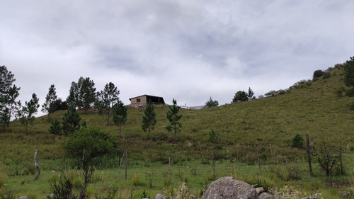 Imagen 8 de 15 de Campo A La Venta En Potrero De Garay Con 200 Mts De Costa Al Río Los Espinillos De 17 Ha.