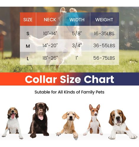 Pawhuggies Juego De Collar Y Correa Para Perro Estilo Bohemi