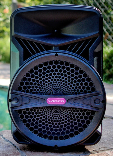 Parlante 15 Portatil Bateria Recargable Bluetooth Potencia 8000w 100rms + Microfono Inalambrico Usb C. Remoto + Sonido