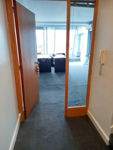Imagen 4 de 6 de Servicio Profesional De Limpieza De Alfombras