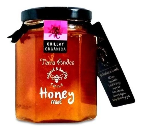 Imagen 1 de 9 de Miel Orgánica Monofloral Quillay Premium - 240g