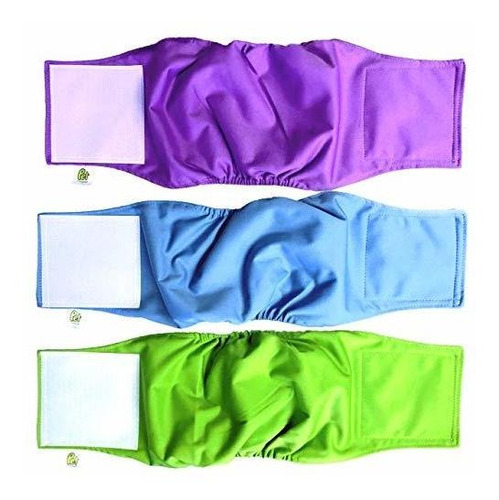 Braga Para Perro Macho, 3-pack, S, Azul Verde Morado