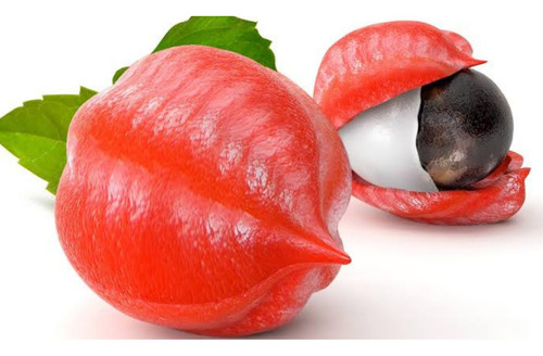 Imagen 5 de 5 de Pulpa De Guaraná En Polvo Pulverizado 1kg