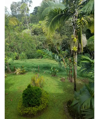 Venta Finca Sector La Pola - 7 Cuadras