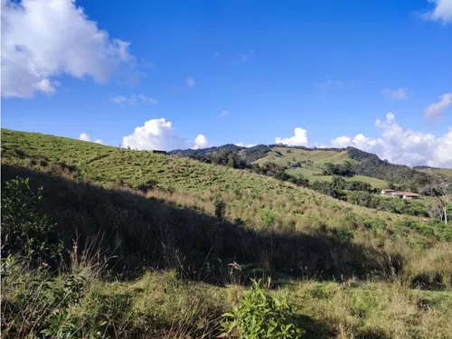 Finca En Venta Carmen De Viboral, Vía La Unión Antioquia 50 Cuadras.