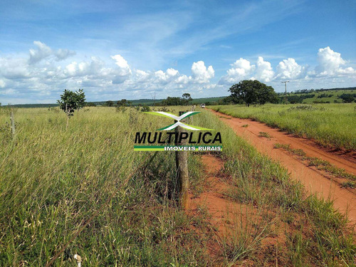 Oportunidade Chácara À Venda Uberlândia 20.000 M² Por R$ 130.000, Financia - 394