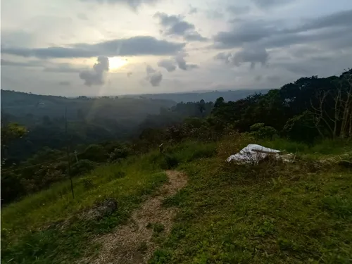 Se Vende Finca En Salento - Quindío