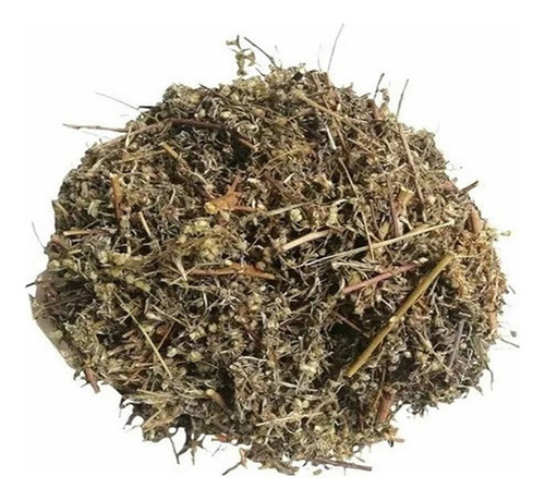 Estafiate Organico Hierba 250gr Alimenticio Infusion O Té