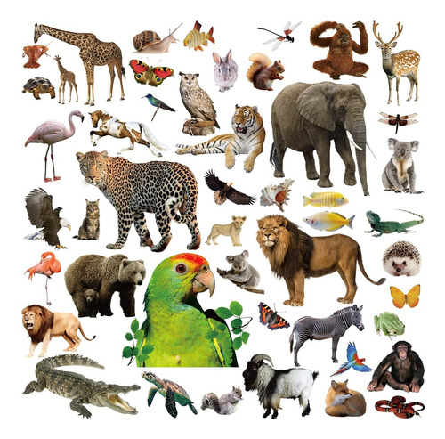 Pegatinas De Animales De La Selva 400 Surtido De Animales De