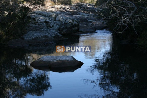 Imagen 28 de 30 de Campo Turistico Cerca De Punta Del Este