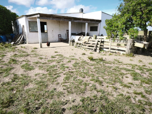 Vendo Campo 267hectareas Sobre Ruta Nacional Num 19 En Paraje Isla Negra Rocha, A 20 Minutos Del Chuy. ¡ideal, Para Exigentes!