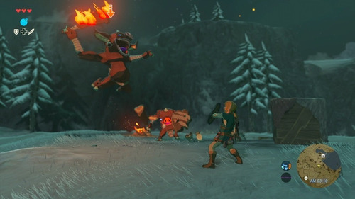 The Legend of Zelda: Breath of the Wild Standard Edition Nintendo Wii U Físico