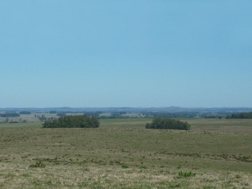 Campo En Venta En Rocha Ref. 5130 (ref: Cbr-938)