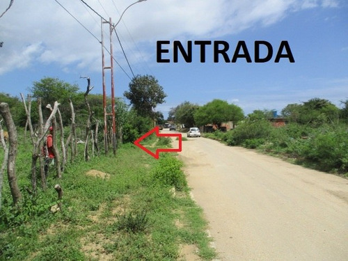 Terreno En Municipio Gómez Caserío Arismendi