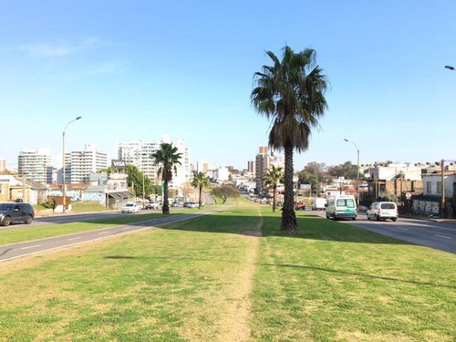 Imagen 19 de 19 de Departamento - Malvín