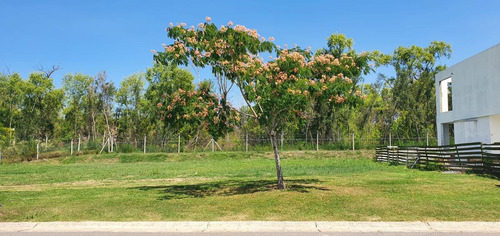 Imagen 3 de 6 de Terreno - Acacias