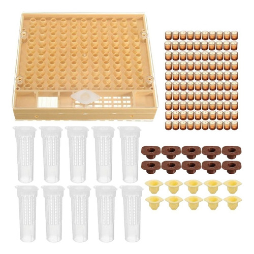 . Kit Material Apícola Caja Jaula De Abeja Reina C