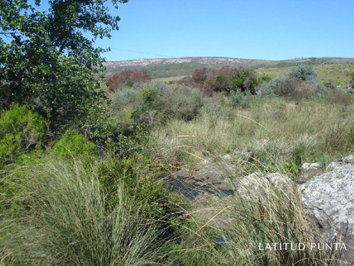 Imagen 7 de 18 de Campo 98 Has Con 2891 M2 En Carape Cuenta Con Costa De Arroyo.