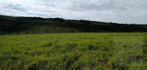 Fazenda À Venda, 65 Alqueires Por R$ 3.000.000 - Sítio Rural - São Sebastião Do Paraíso/mg - Fa0012