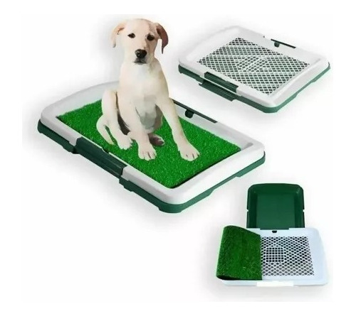 Baño Educador Y Ecológico Para Perros Puppy Potty Pad