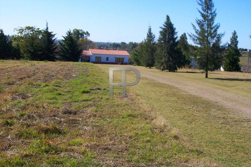 Imagen 6 de 7 de Chacra En Venta Chacras De Paysandu 3 Dorm, 3.7 Has #1639