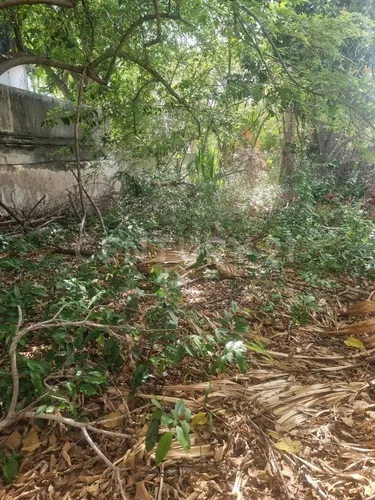 Casa En Venta, Centro De Mérida, Yucatán