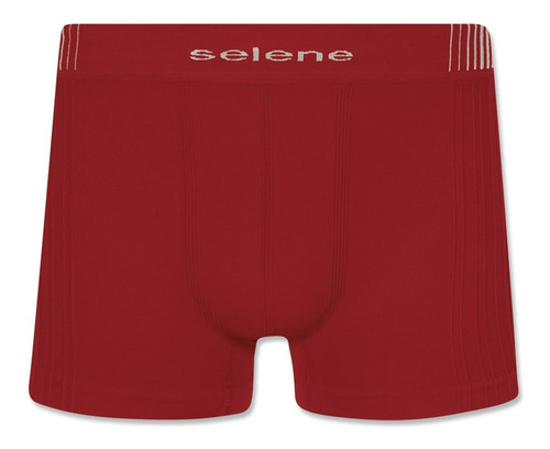 Kit Com 10 Cuecas Box Selene Em Poliamida - Cores Sortidas