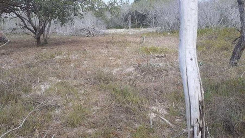 Terreno Lote En Holbox