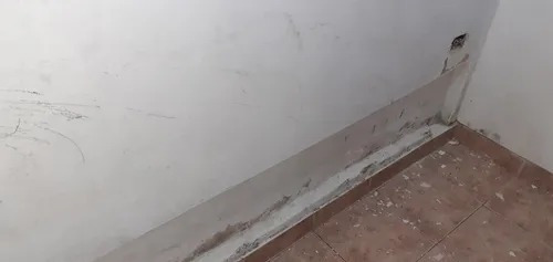 Imagen 4 de 10 de Pintores Profesionales, Remodelaciones En General.