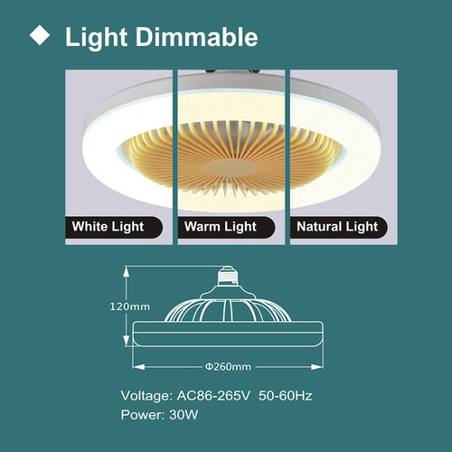 Ventilador De Techo De 30w Con Lámpara De Iluminación E27
