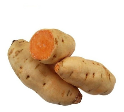 25 Mudas De Batata Doce Laranja + 1 Yacon (minas Gerais)