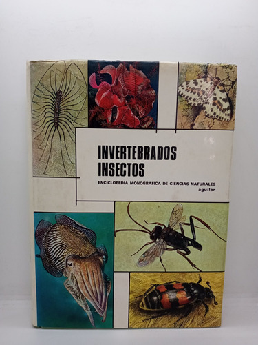 Invertebrados - Insectos - Biología - Zoología 